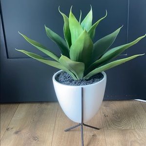 Accents - COPY - Modern fake potted plant Accents - COPY - Modern fake potted plant